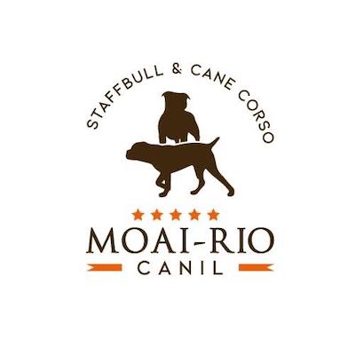 MoaiRio Canil